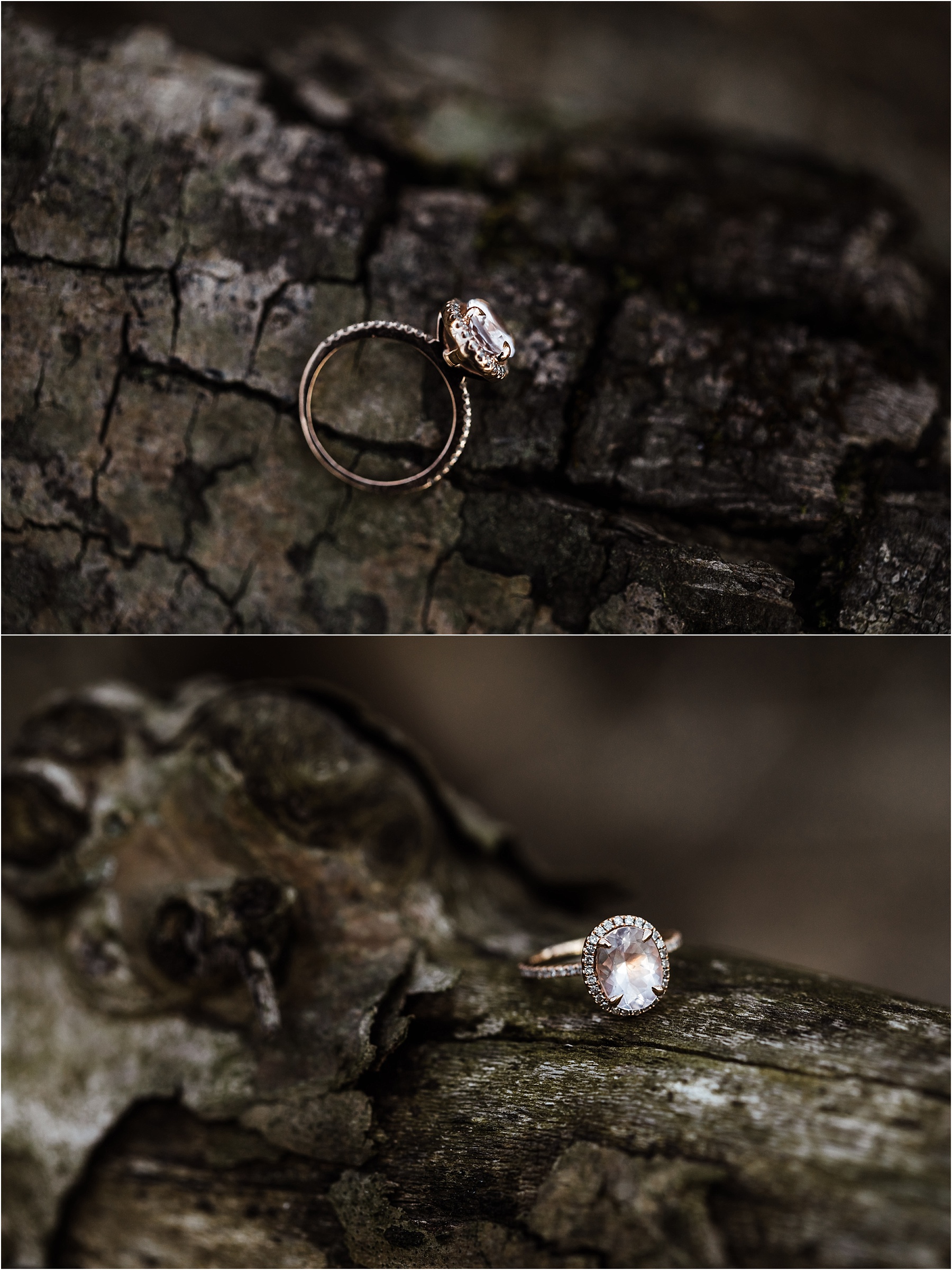winter forest engagement session