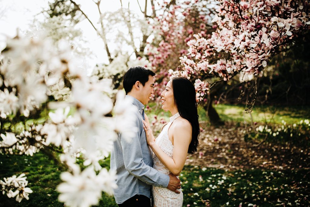 cherry blossom engagement photos