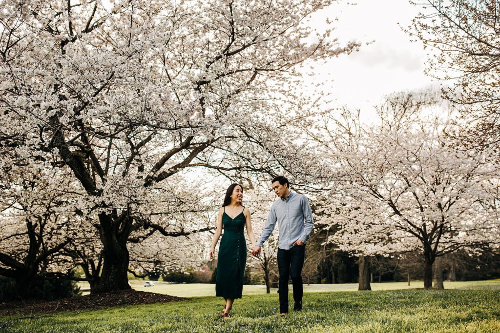 longwood gardens cherry blossom engagement photos