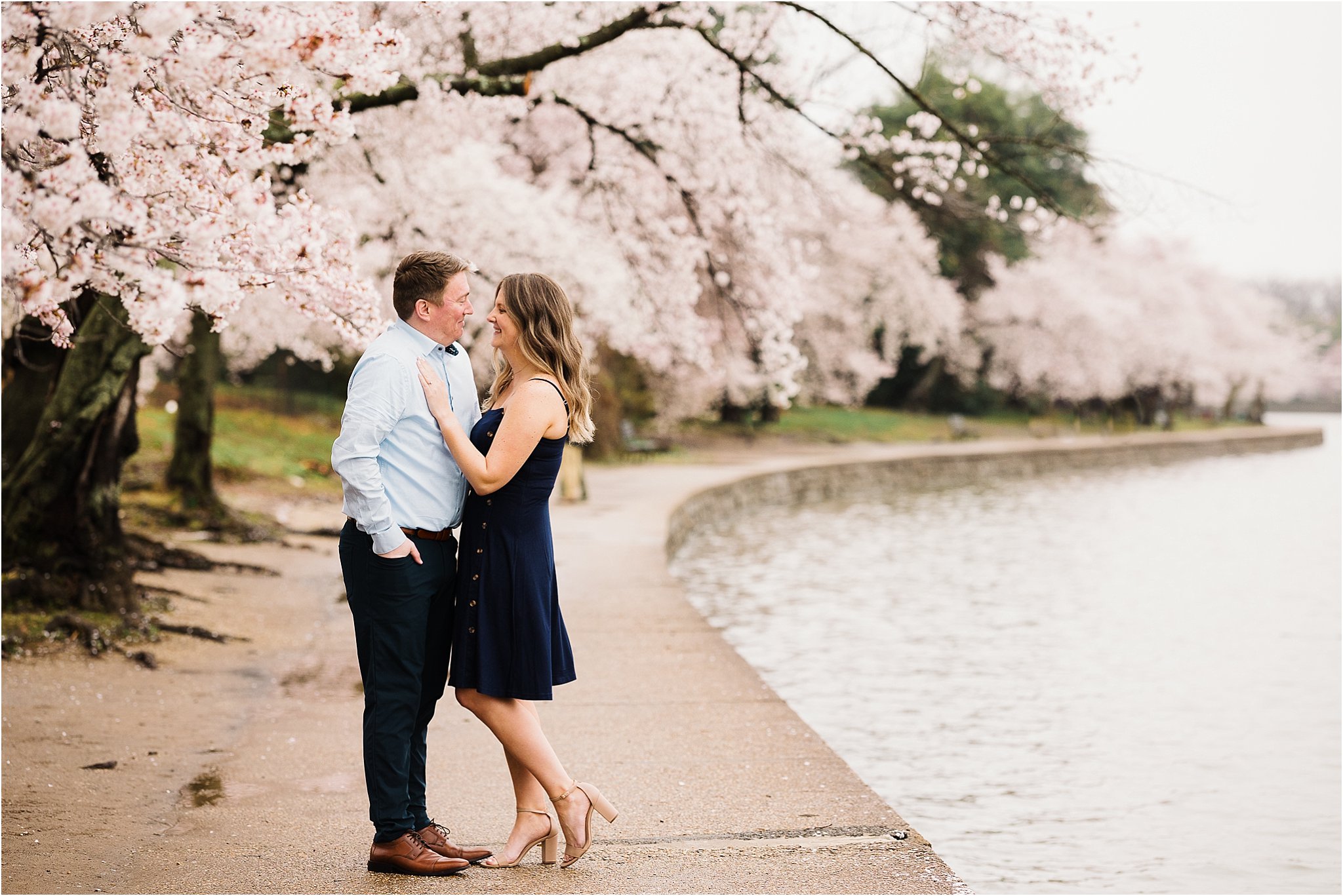 dc cherry blossom engagement photos