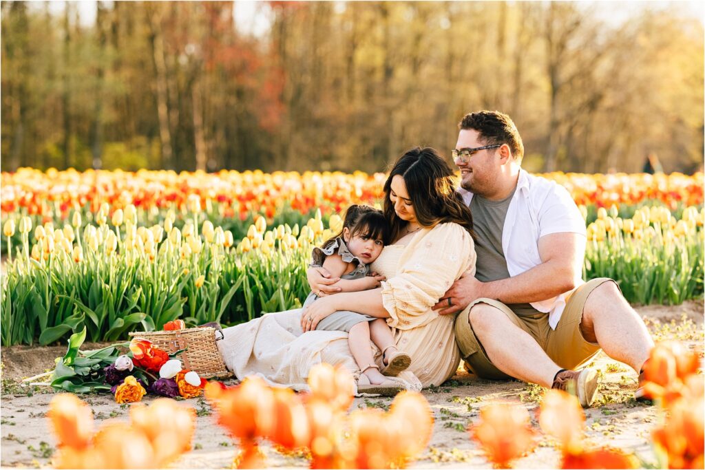 tulip field family photos