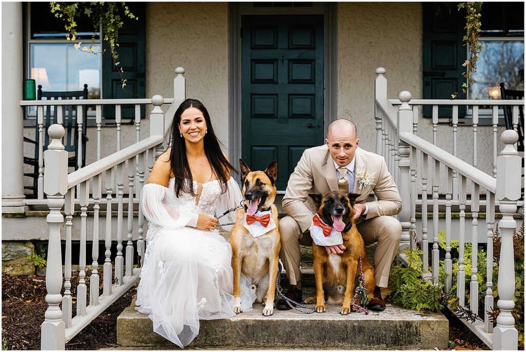 A bride and groom sit on steps with their dogs wearing bowties.