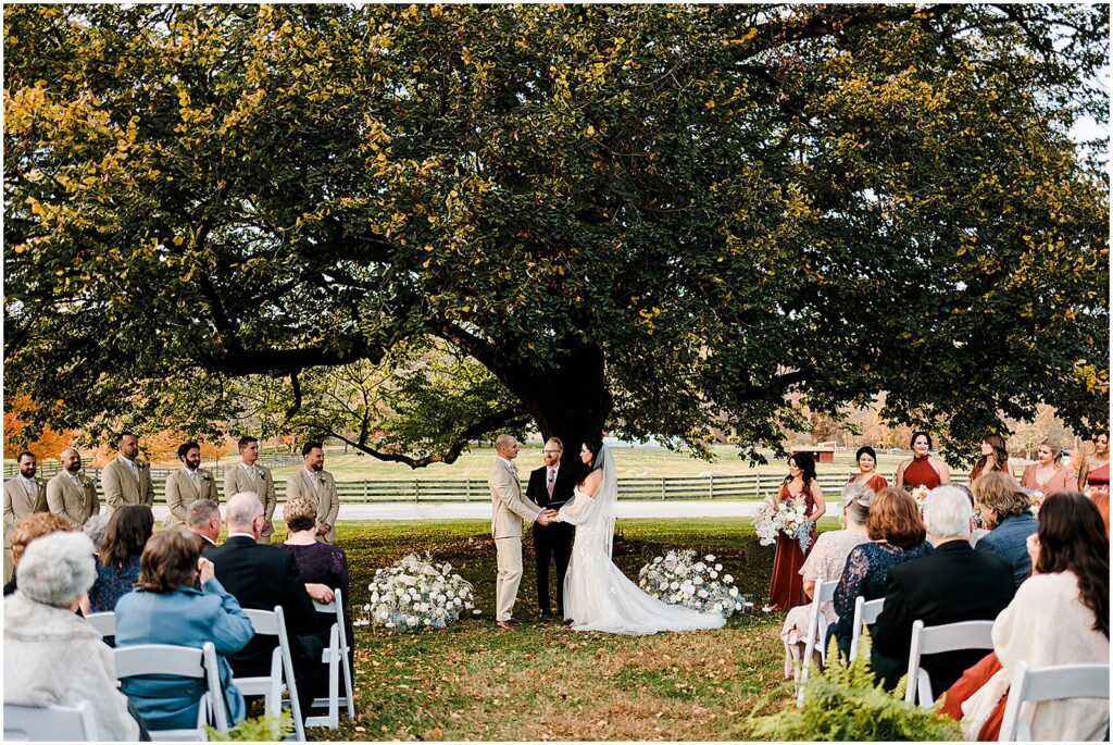 A bride and groom have an outdoor wedding ceremony under a linden tree.