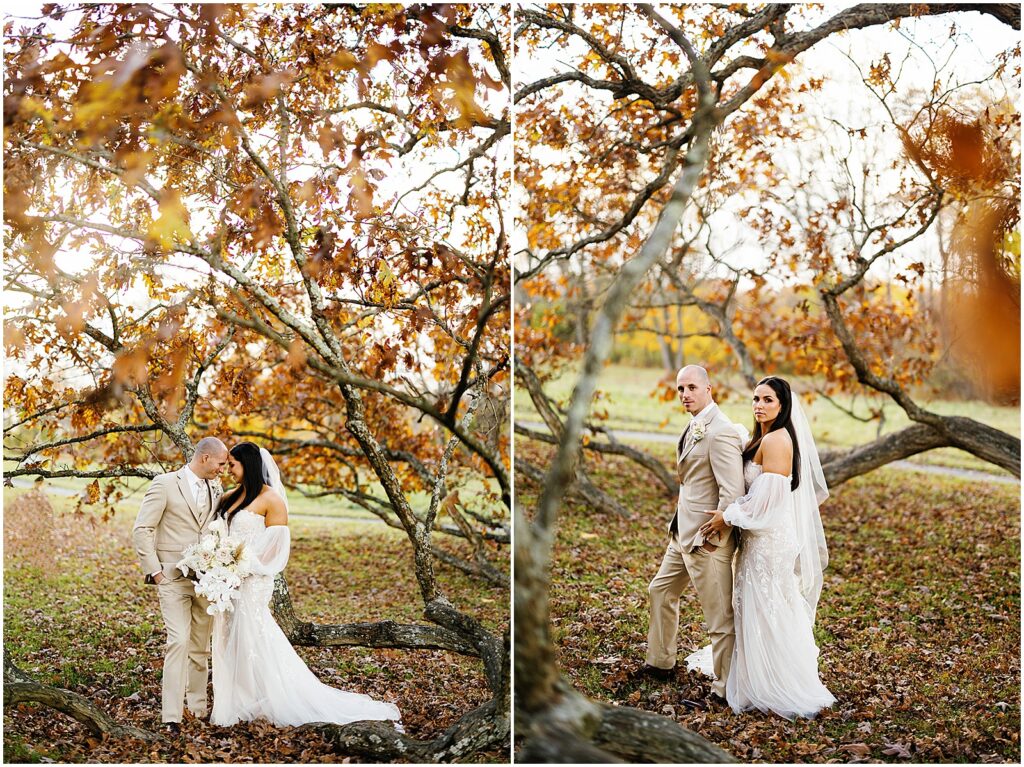 A bride and groom pose beside a tree at their fall wedding at Springton Manor Far.