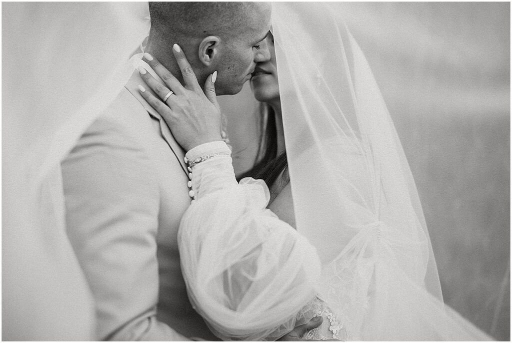 A bride and groom kiss beneath a bridal veil.