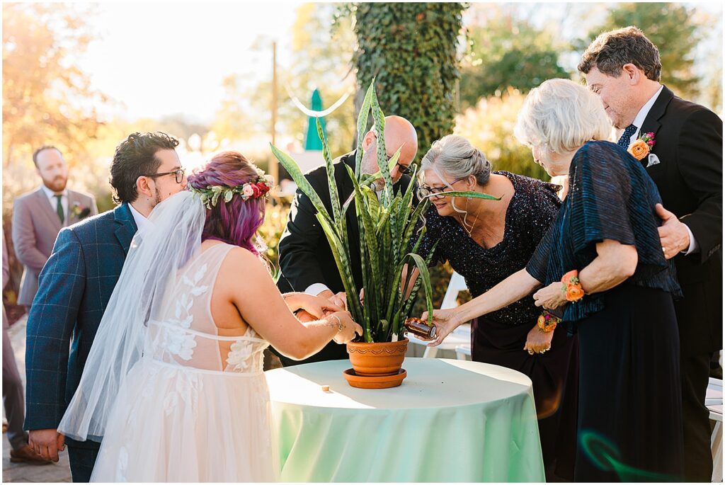 A bride and groom plant a snake plant with family members for their unity ceremony.